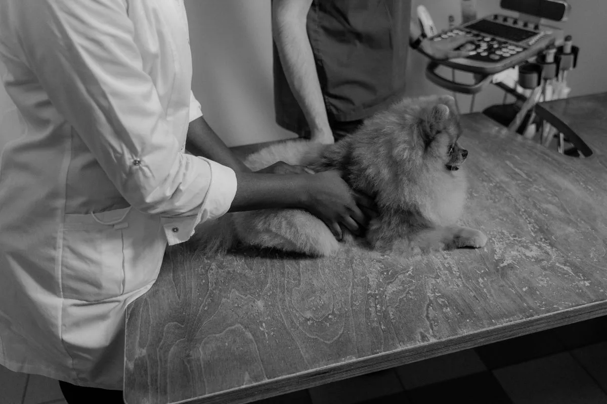 Equipo clínico realizando un examen con apoyo de imagen en blanco y negro